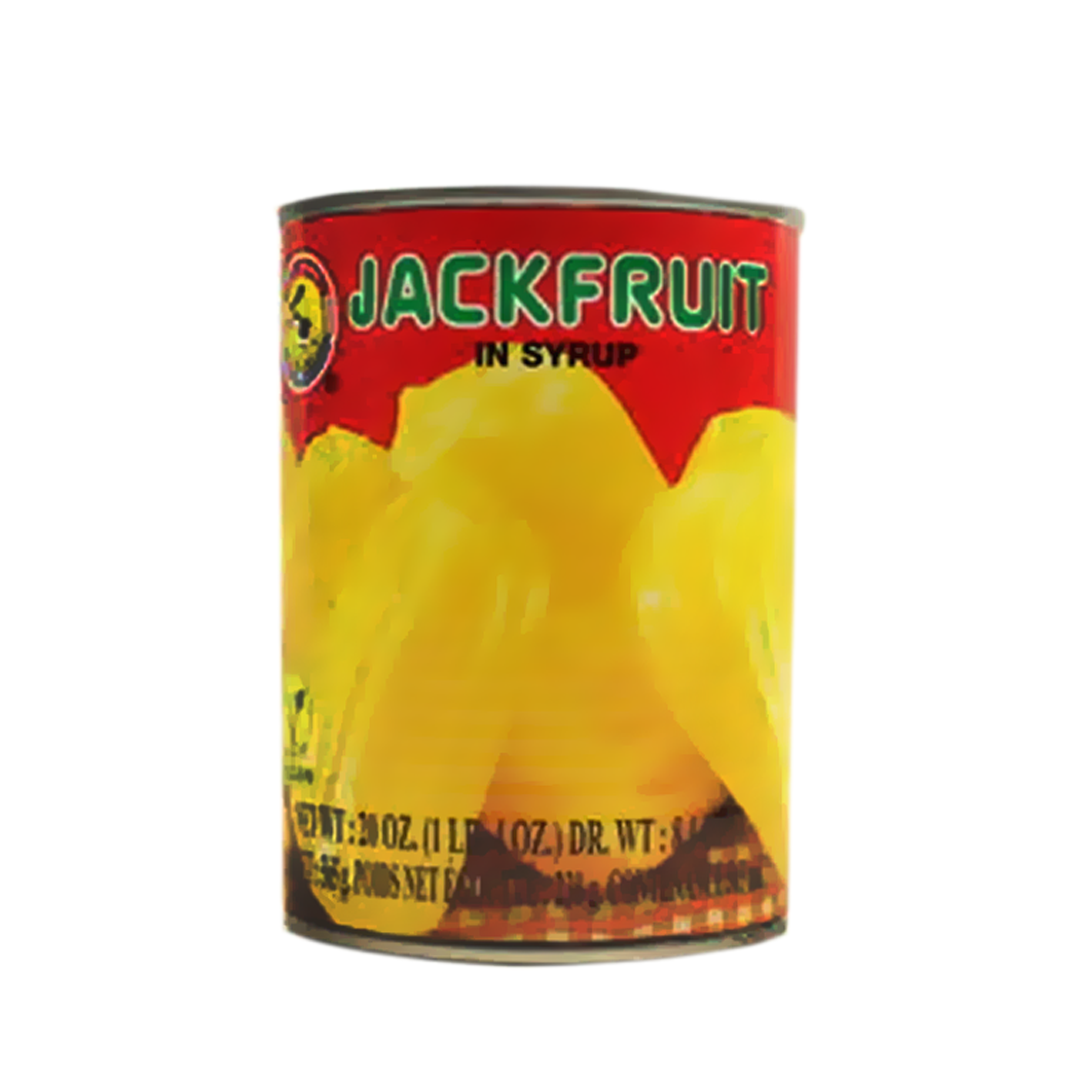 فاكهة الجاك فروت في محلول سكري 565 جم الصورة الرئيسية